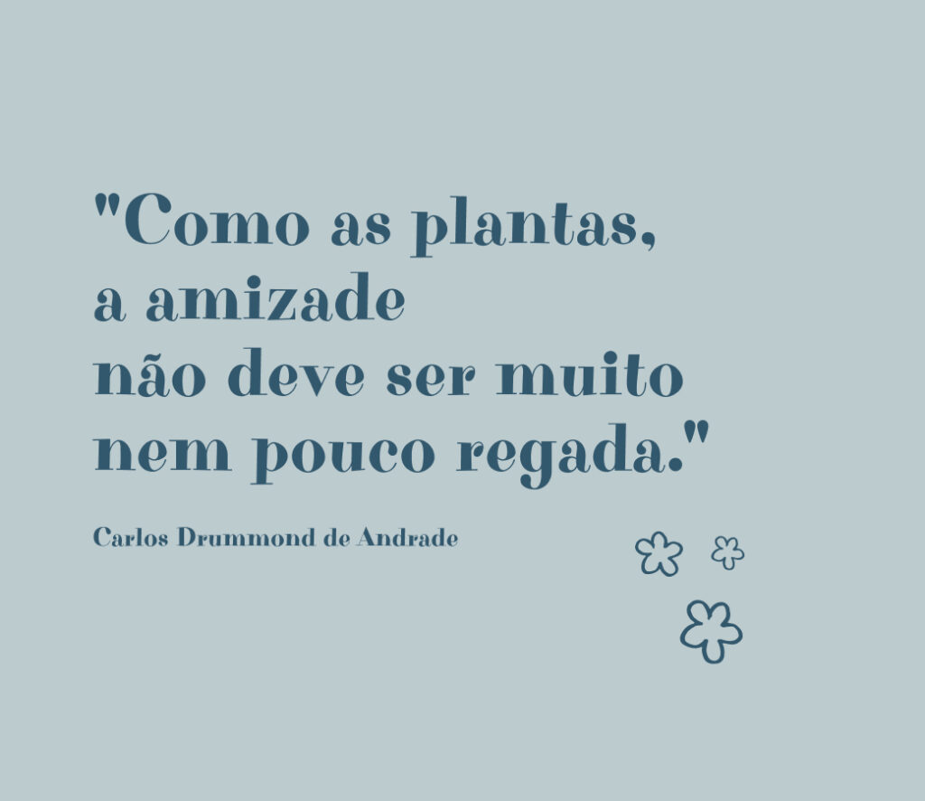 Citação sobre amizade de Carlos Drummond de Andrade em fundo sólido.